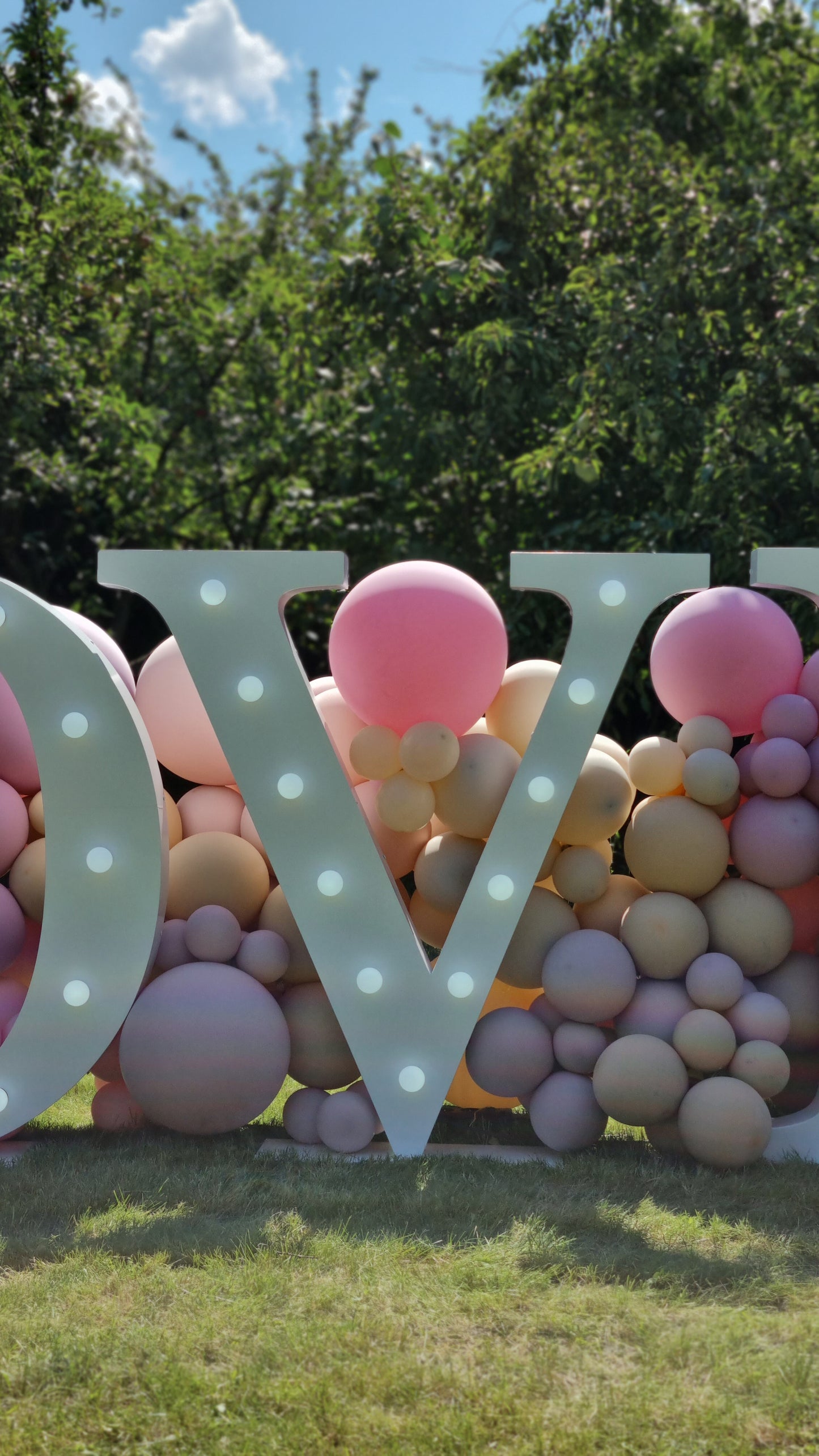 
                  
                    Balloons | Love letters with balloons
                  
                